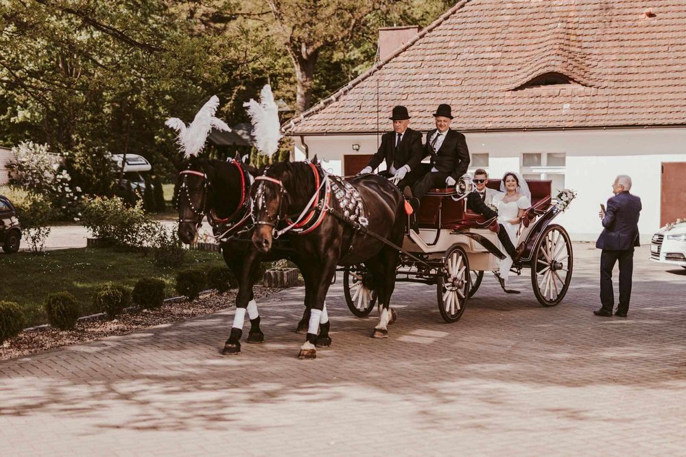 Karetą do ślubu Bryczką