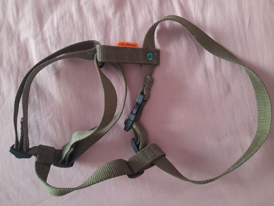 Cão acessórios 1 novo e outros usados