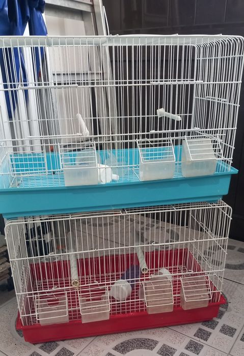 2 Gaiolas usadas e maternidade