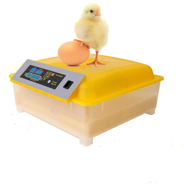 Chocadeira/Incubadora 48 Ovos Automática NOVA-Disponibilidade Imediata