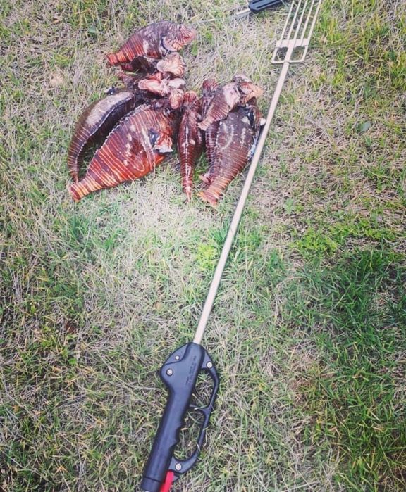 Подводное ружье на резиновых тягах