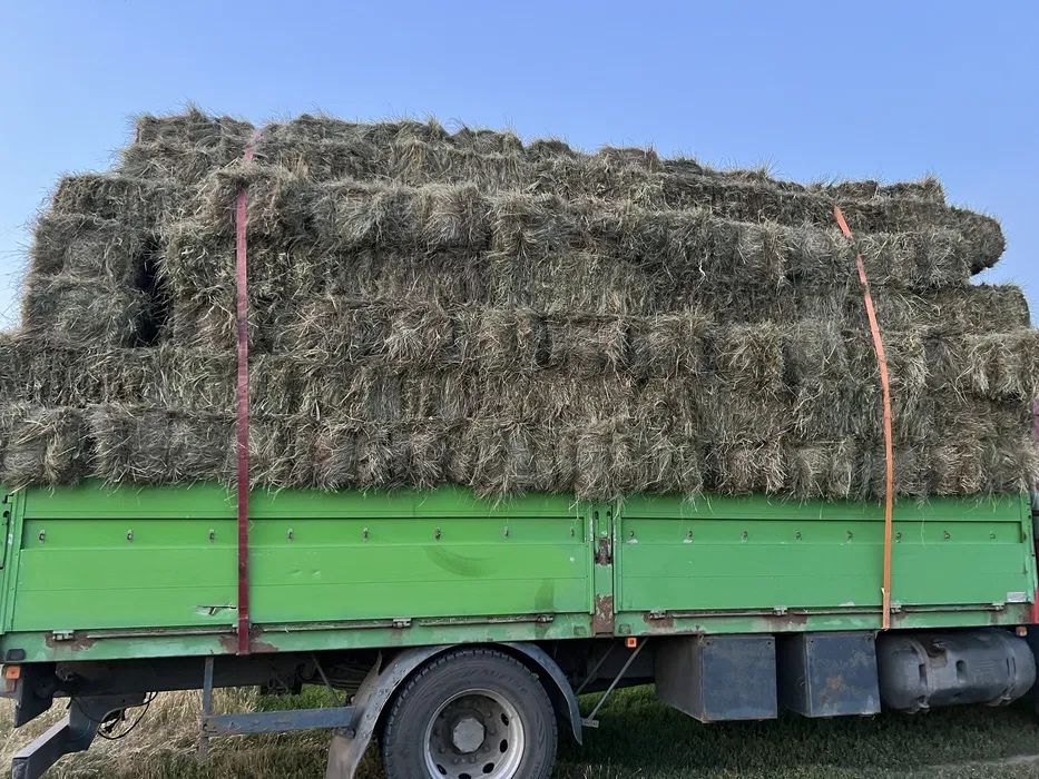Продам сіно в тюках