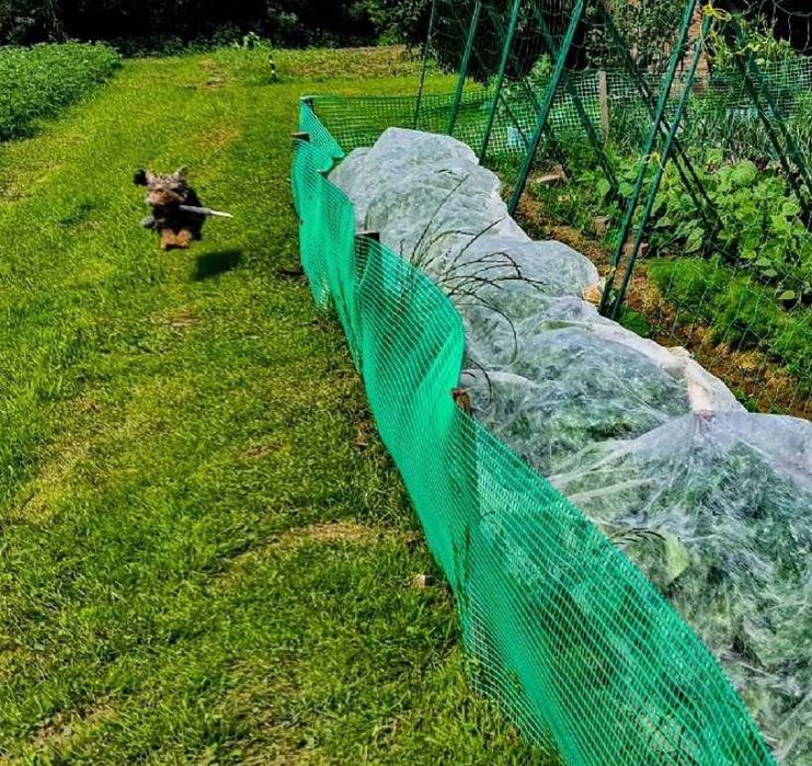 Siatka Rabatowa plastikowa pvc, ogrodowa ogrodzeniowa RÓŻNE WYMIARY