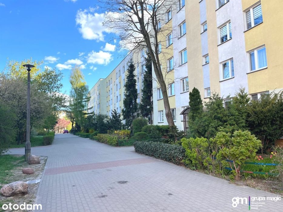 Obszerne mieszkanie 61 m2 Rubinkowo, Działowskiego