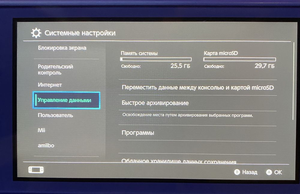 Nintendo Switch Lite + карта пам’яті 32 GB