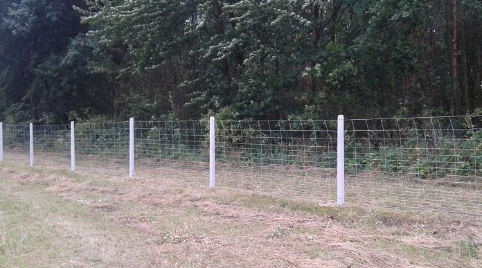 Ogrodzenie siatka leśna betonowe słupki