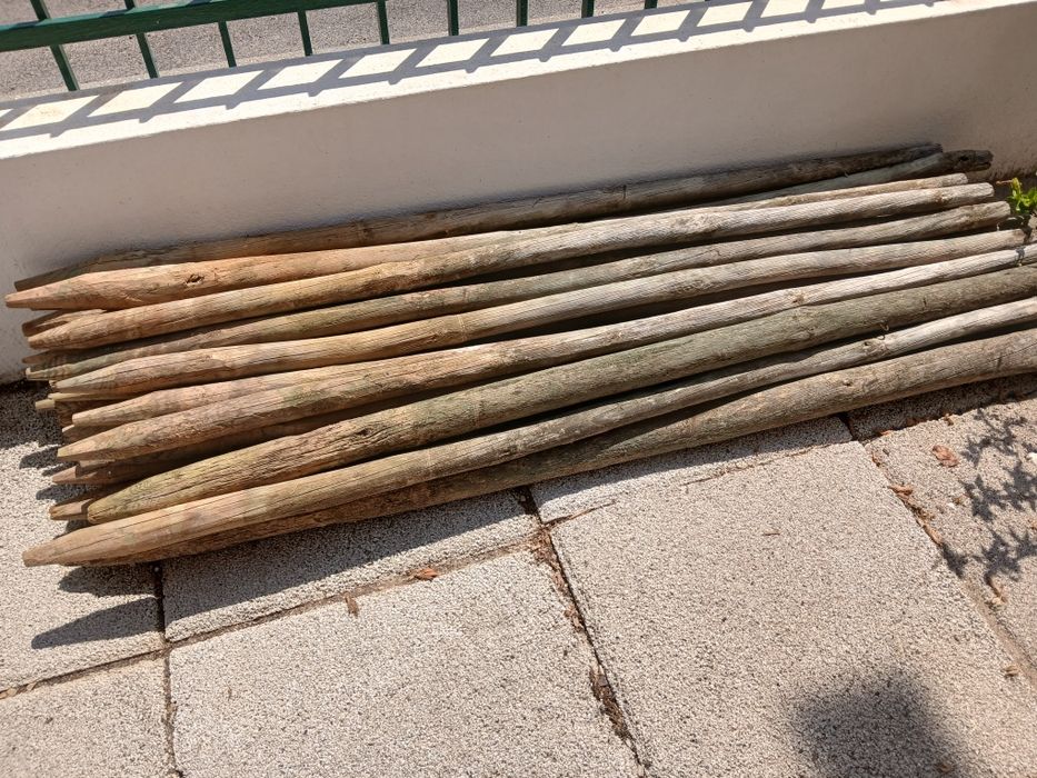 Aproveite 60  Paus tratados entre  1/70 a 180 de altura