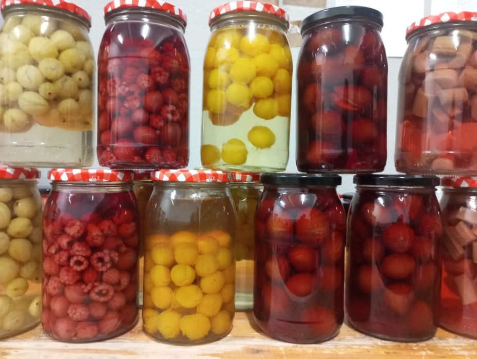 Kompot, kompoty owocowe,