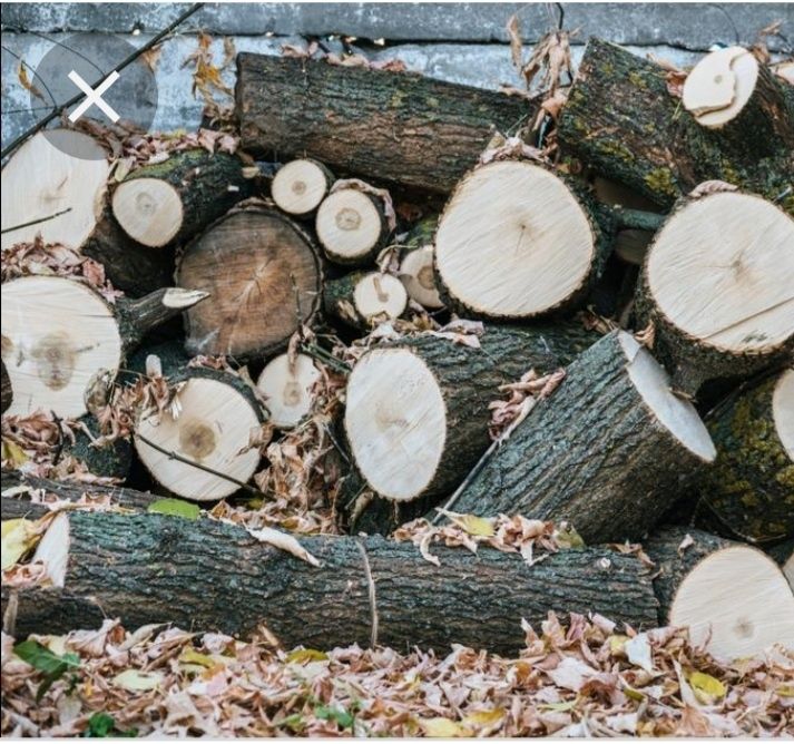 Продам дрова твёрдых пород