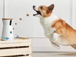 Kamera dla psa lub kota  FURBO HIT USA