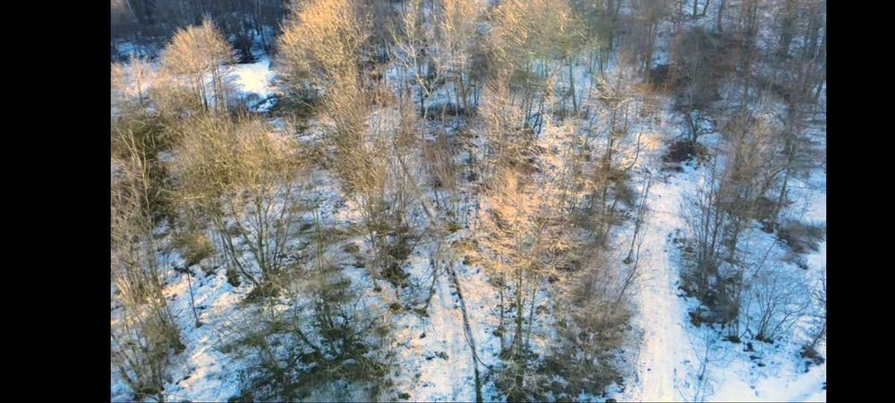Ділянка 12 соток с. Фійна (Крехів, Майдан) під будівництво або бізнес!