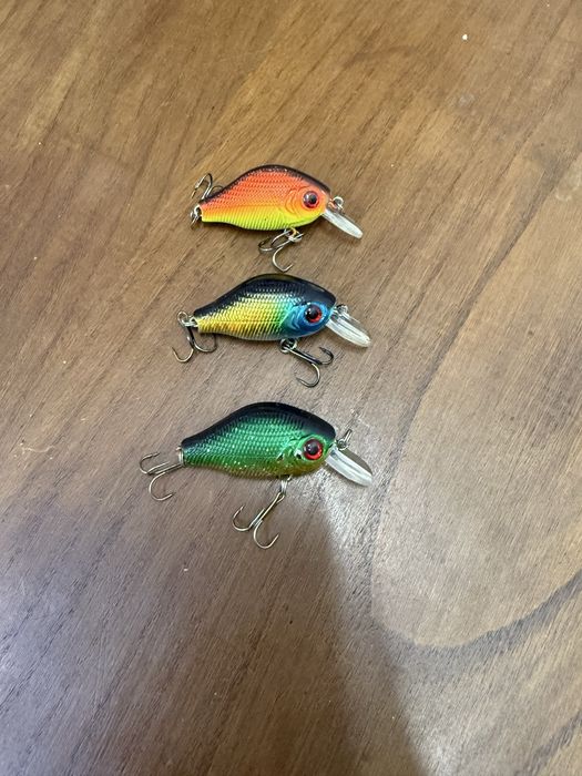 Lote de amostras para pesca