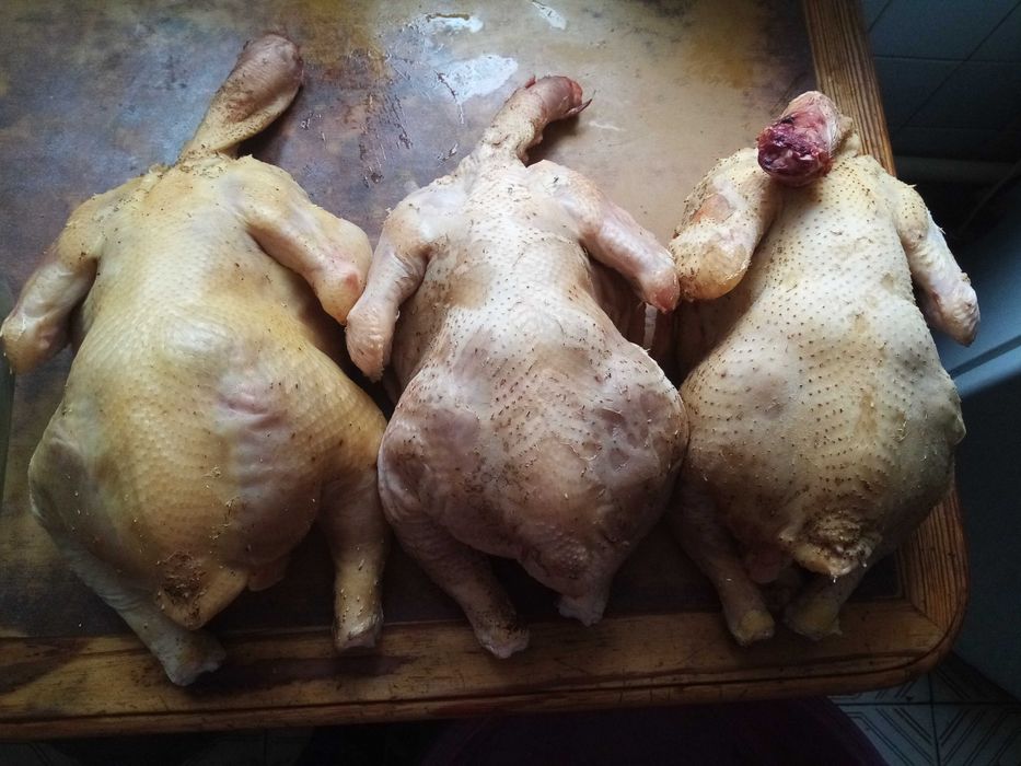 Тушки  ДОМАШНЬОГО бройлера
