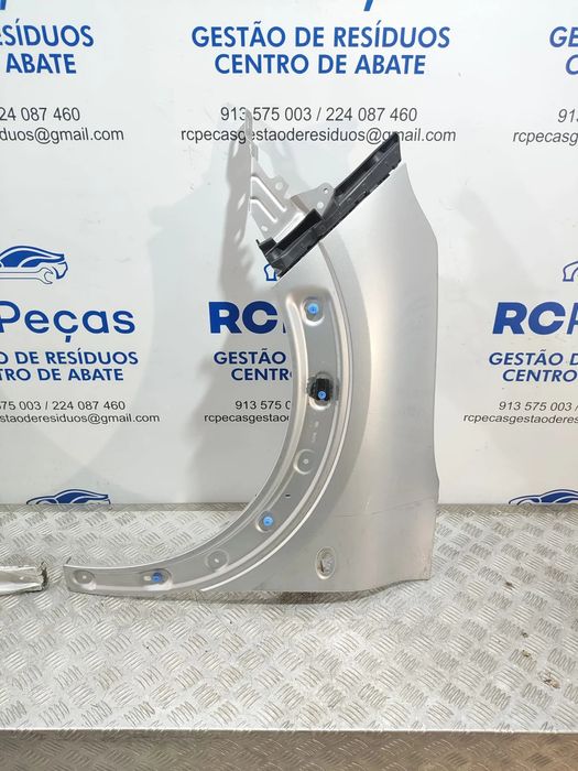 Guardalamas Frente Frontal Esquerdo Direito Original Citroen C4