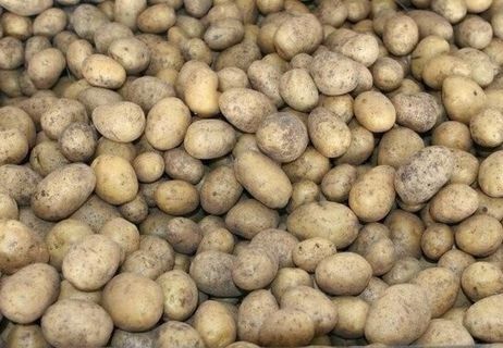 Продам дрібну картоплю/картошка