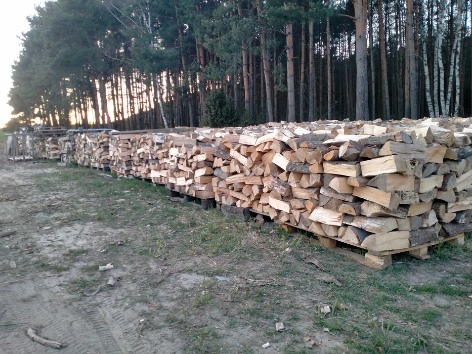 Drewno Kominkowe Sezonowane Opałowe Ostrzeszów Mikstat Ostrów W