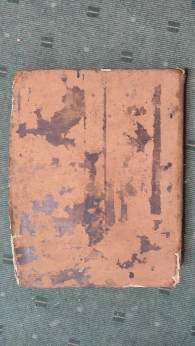 Magnum Lexicon Latinum et Lusitanum - 1863