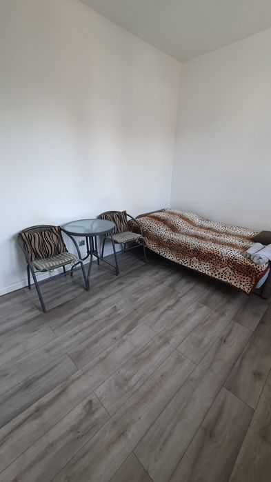 Mieszkanie,  kawalerka do wynajęcia