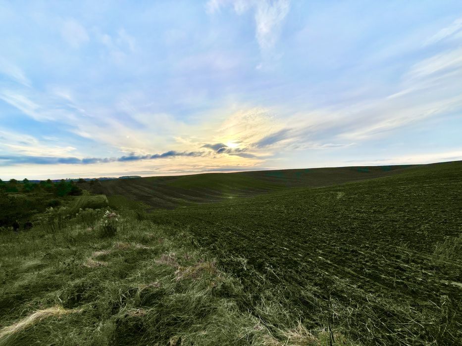 ‼️Продається ПАЙ Колоденка за хорошою ціною‼️