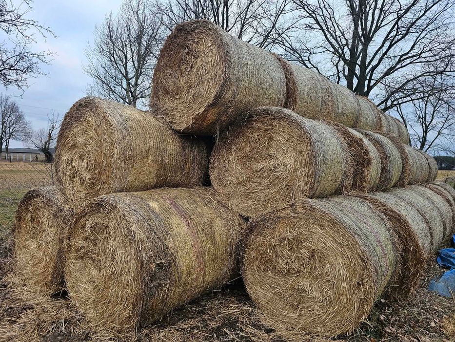 Słoma oraz sianokiszonka