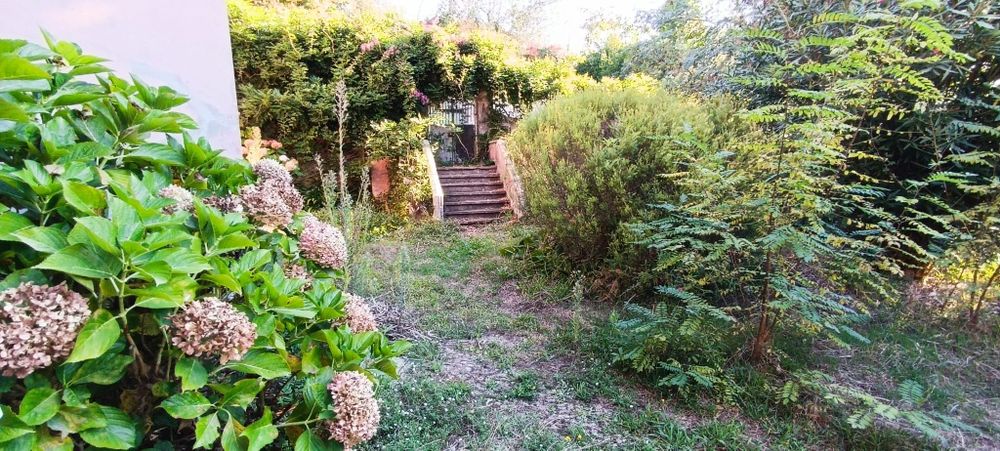 Limpeza de jardim e terrenos
