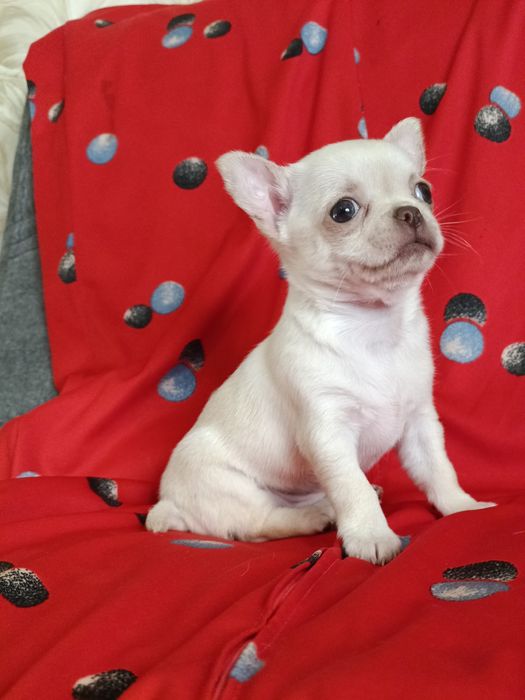 Ну дуже гарна дівчина