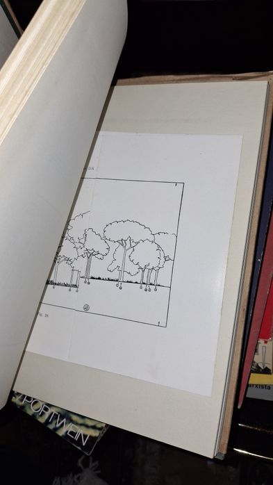 Estudos ensaios documentos Floresta fauna Guiné Bissau ultramar