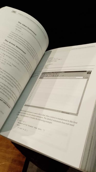 Mastering JavaScript and JScript - James Jaworski