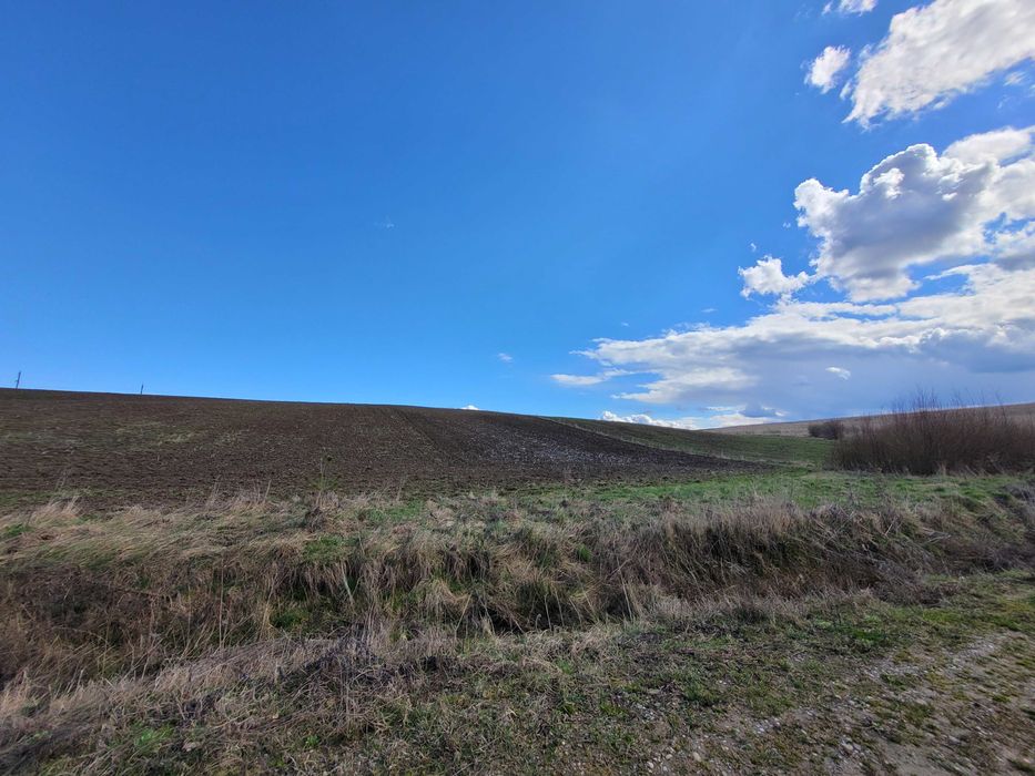 Земельна ділянка 376 сот в Колодіївці