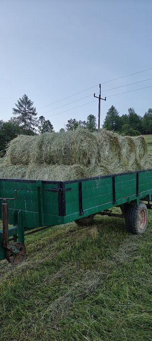 Siano Małe bale 25-30 kg