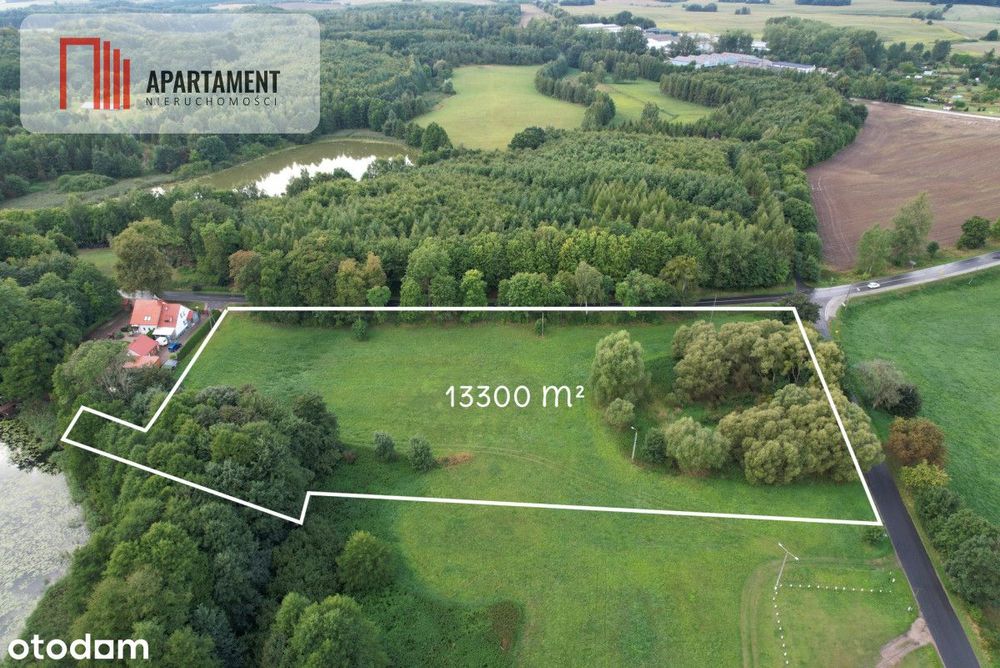 Działka budowlana z linią brzegową jeziora Dużego - Widok 2
