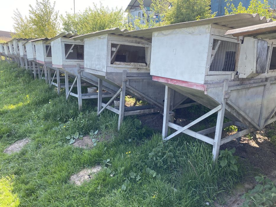 Клітки для кролів