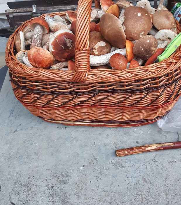 Грибы сушеные подберёзовик топольовий подосиновик без песка Закарпатье