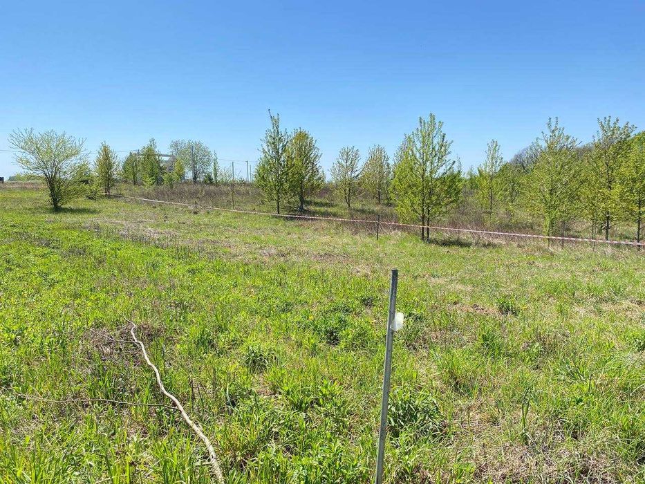 Продам земельну ділянку під житлову забудову у Якушинцях 4561