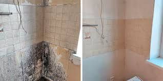 Знищення плісняви, видалення грибка , неприємних запахів , Дезінфекція