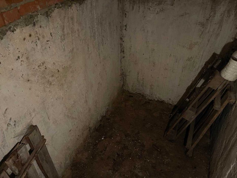 Оренда гаражу в приватному будинку з погребом під склад Трисвя Слобода