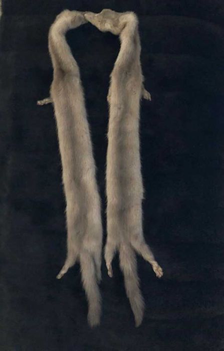 2 visons beije autênticos