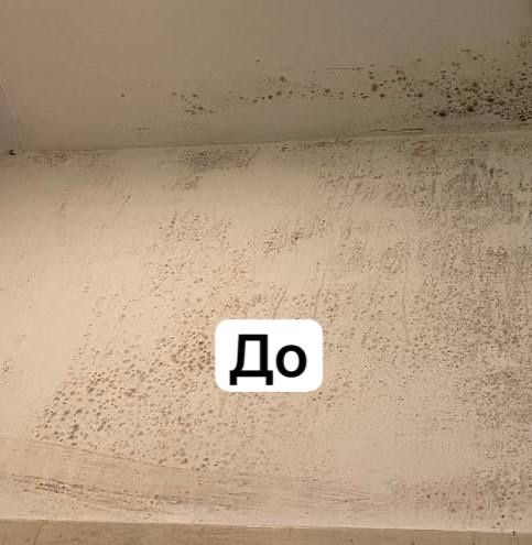 Удаление грибка Удаление плесени озон !