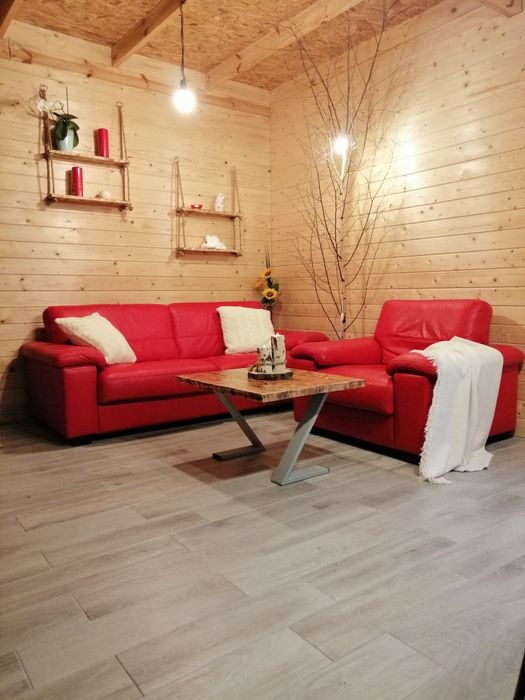Duży Brzozowy Domek z jacuzzi na wyłączność, balia, Kaszuby, wakacje