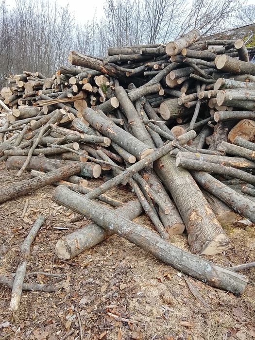 Продам дрова.Київ та Київська обласьть