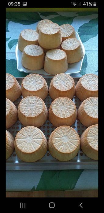 Sery kozie. Gospodarstwo ekologiczne.