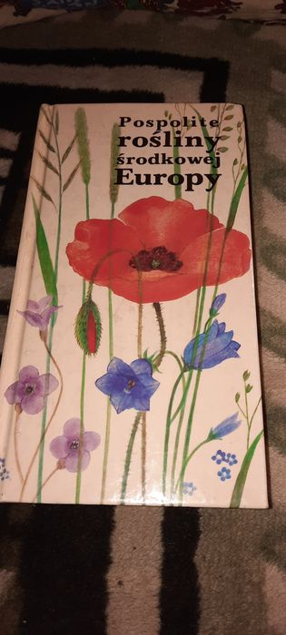 Pospolite rosliny środkowej Europy