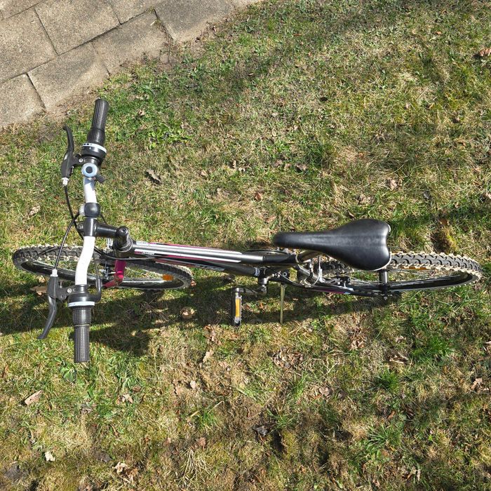 Rower TEAMRAIDER koła 24 cale