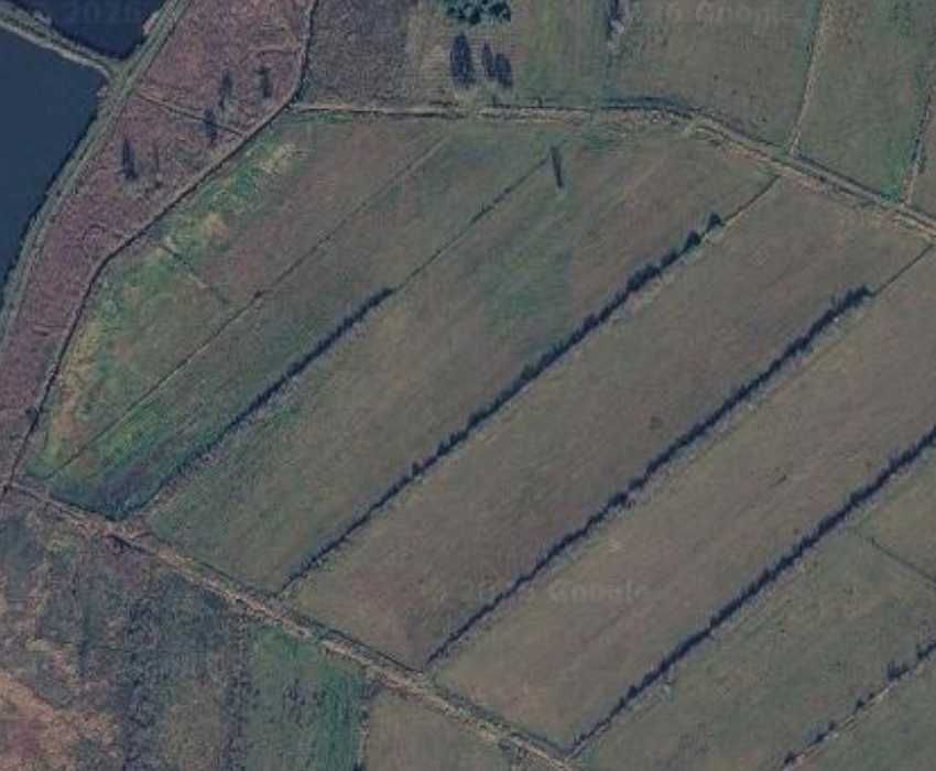 Łąka Milejczyce 4.4ha sprzedam