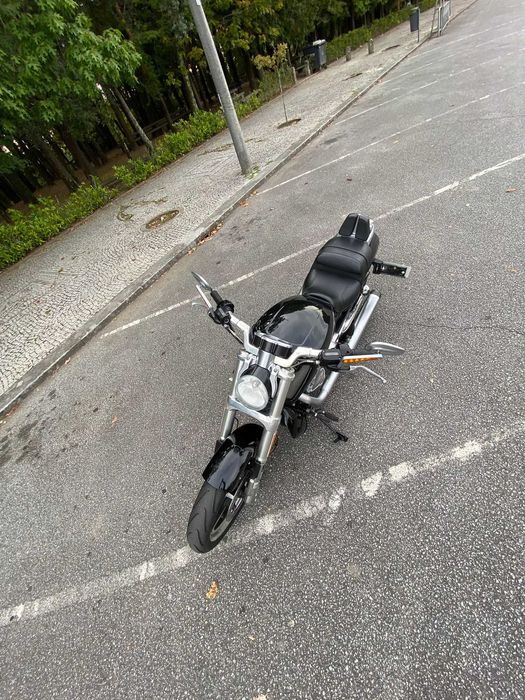 Harley Davidson V Musclue