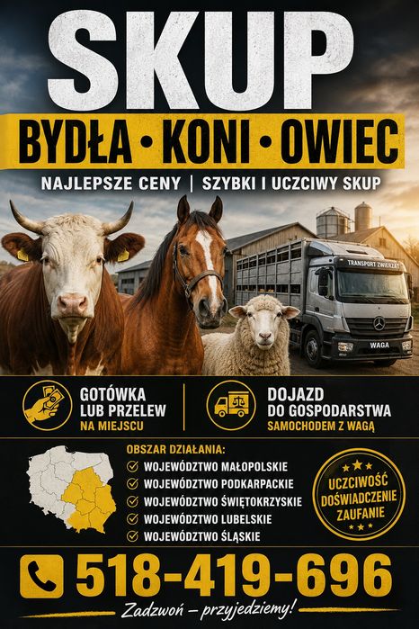 Skup bydła koni cieląt owiec