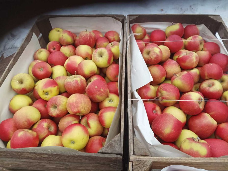 Jabłka, soki z jabłek