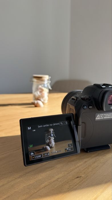 Canon r6 + 2 lentes e flash