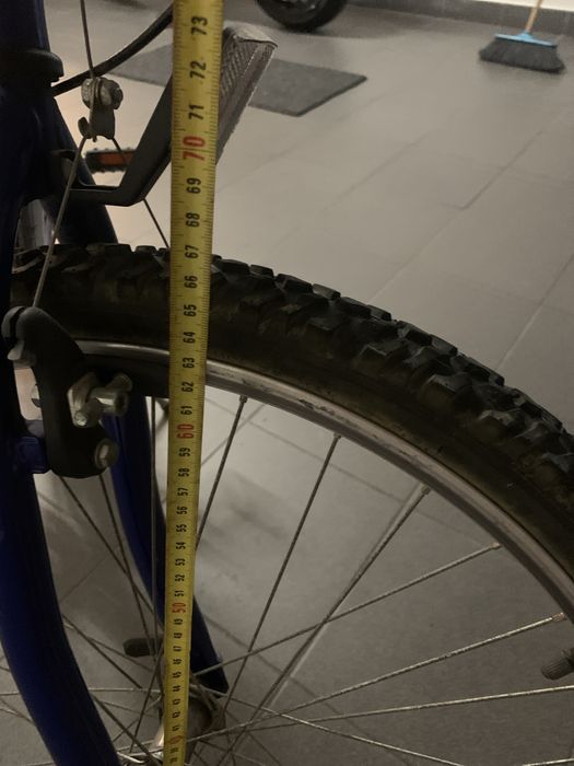 Biciclrta adulto