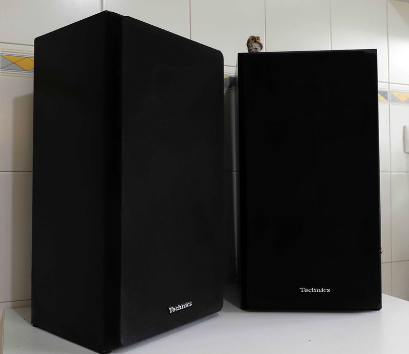 Technics SB-3410 colunas